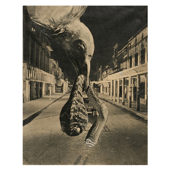 Judit Reigl, Untitled, 1954, Collage, 12 1/8 x 9 3/8 inches – by sight, Signed & dated on recto