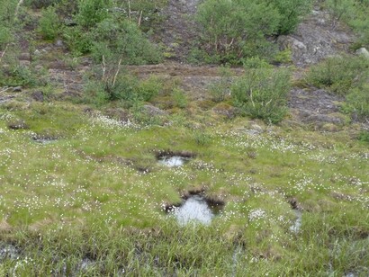 La tundra russo-norvegese @ Simonetta Sandri