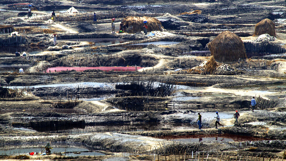 Steve Russell, Pink Pan
