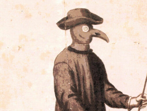 En los siglos XVII y XVIII, algunos doctores de la peste utilizaban máscaras que parecían picos de aves 