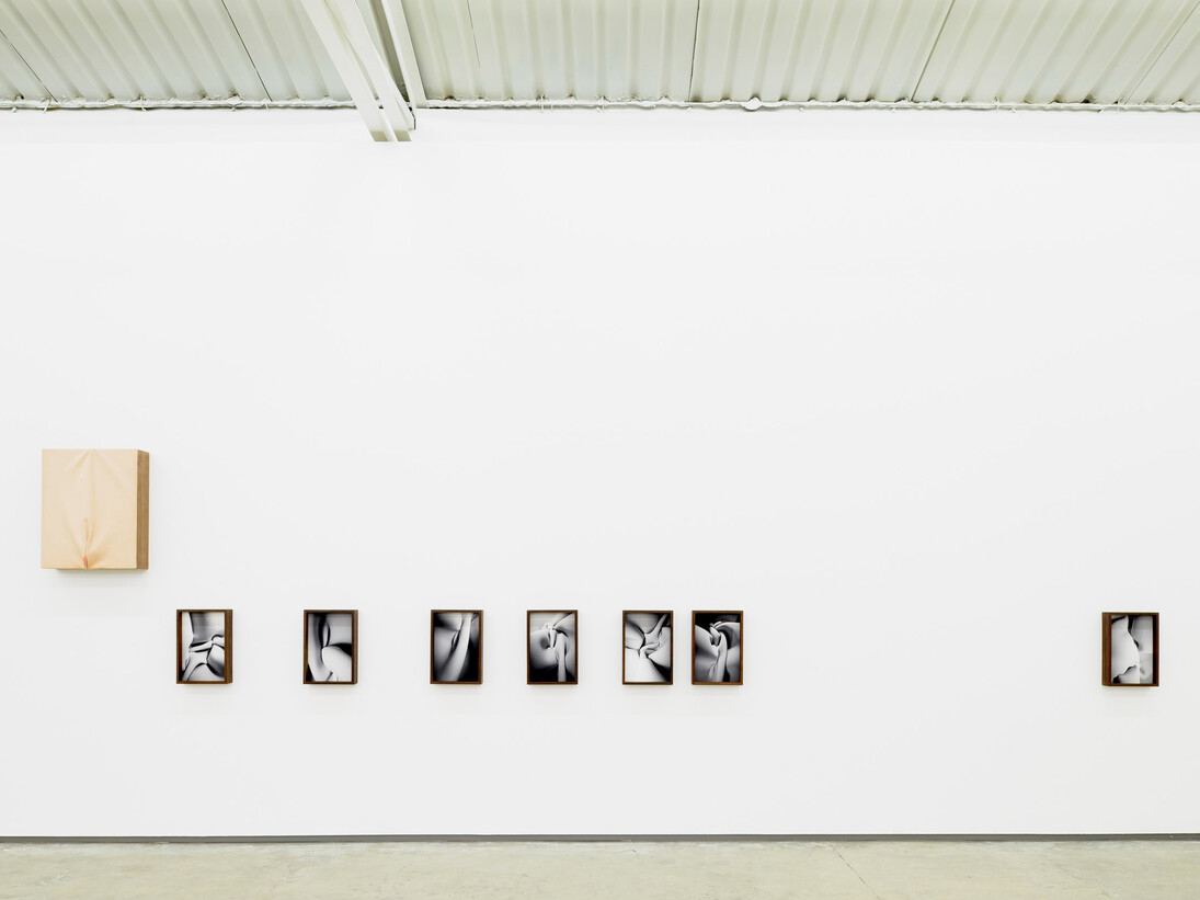 Exhibition view