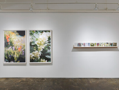 Maxine Henryson, Frequently the woods are pink, 2023, exhibition view,  A.I.R. Gallery, Brooklyn, NY, photo by Sebastian Bach. Courtesy of the artist and A.I.R. Gallery