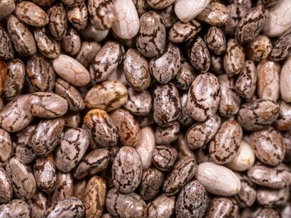 Per chi sceglie di seguire un’alimentazione totalmente vegetale non va considerata l’assunzione di proteine da un singolo alimento, ma l’introduzione di tutti gli amminoacidi essenziali nel corso dell’intera giornata