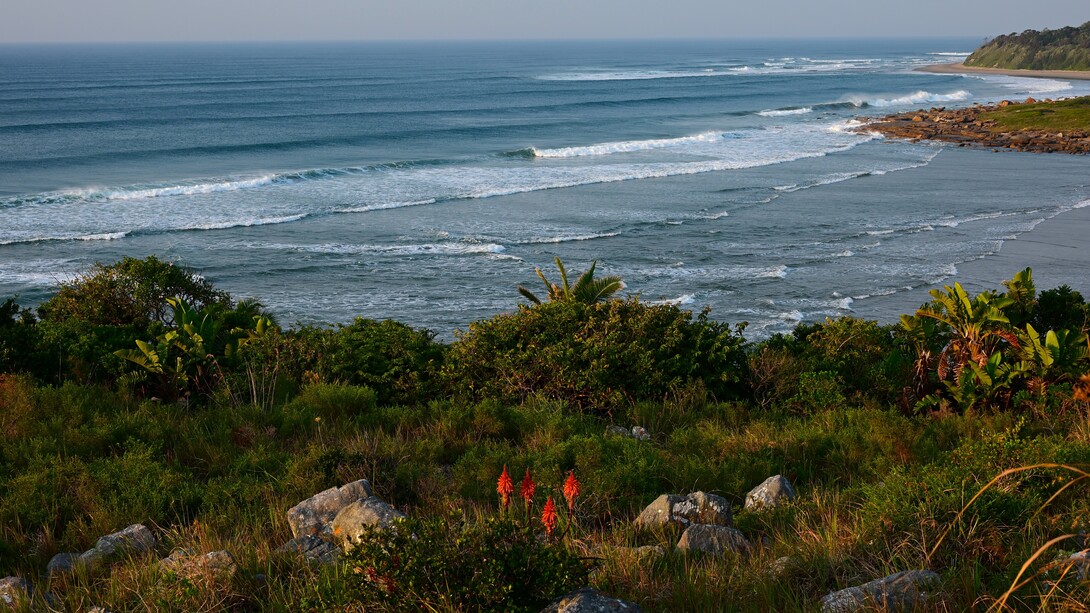 Coastal part of Amadiba territory @ Ashish Kothari