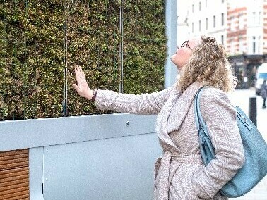 City Trees como mobiliario urbano