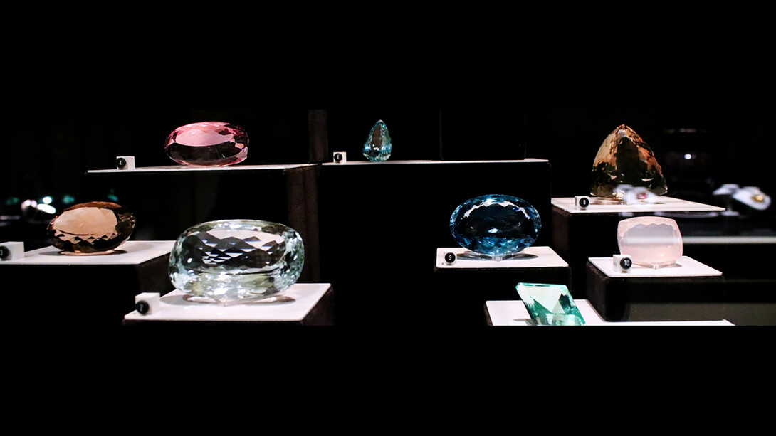 Wertz Gallery. Courtesy of Carnegie Museum of Natural History
