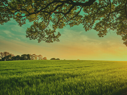 Pachamama nos lleva a reconocer a la tierra como nuestra madre primigenia, es como el gran útero que sostiene la vida