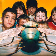 Virtual Insect Hall. Courtesy of Royal Belgian Institute of Natural Sciences