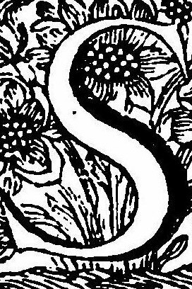 Letra "S" ornamentada en el diccionario vasco-español Larramendi, 1745