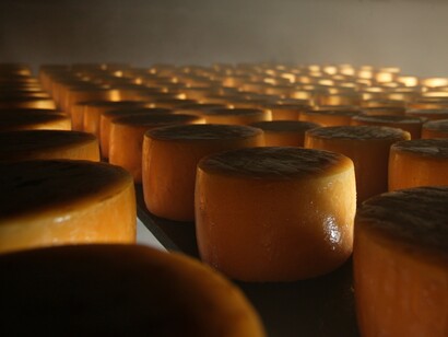 Proceso de fabricación del queso Idiazábal