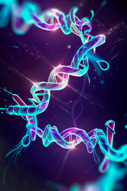 Die vorhergesagte Proteinstruktur mit Aminosäuresequenzen wurde mit dem KI-Tool AlphaFold2 ermittelt. Bild: 3D-Bild eines Proteins