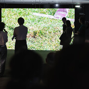 ​Pleasing to the eye, soft on the feet, exhibition view. Courtesy of Neue Galerie Graz