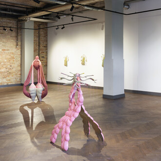 Zsófia Keresztes, The chamoile protocol, exhibition view. Courtesy of König Telegraphenamt 