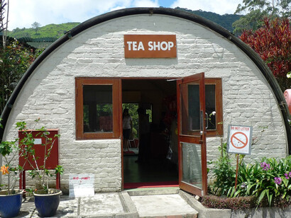 Boh Tea Gardens Tea Centre Cameron Highlands