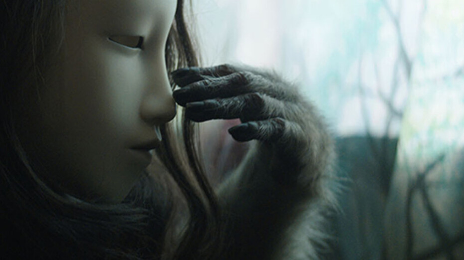 Animalesque. Courtesy of Bildmuseet