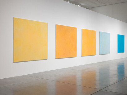 Eti Jacobi Lelior, Monkeys in the mist, exhibition view. Courtesy of Tel Aviv Museum of Art