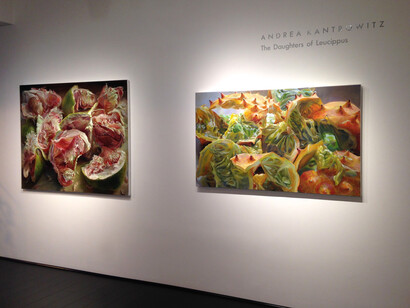 Andrea Kantrowitz, Installation view