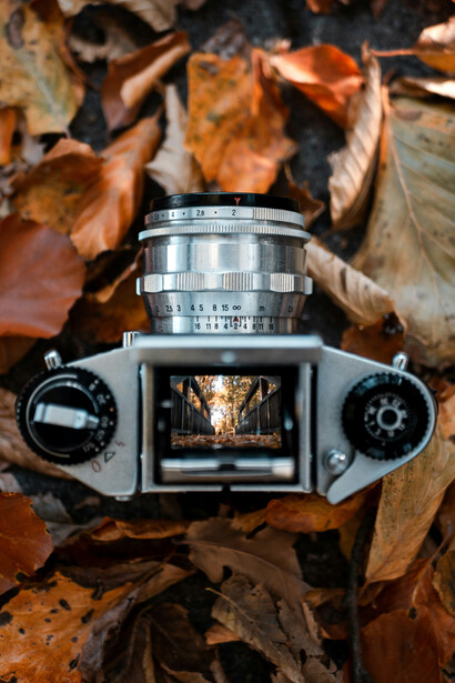 Fotografia artistica. Poi, ovviamente, si passa alla parte pratica. Si studia il corpo macchina, le funzioni, si studiano le lenti, i parametri, la creazione di una composizione
