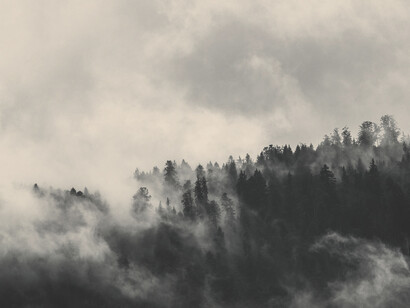 Previsioni meteo e fenomeni atmosferici, nebbia. Scienziati e organizzazioni intergovernative, in un poderoso sforzo coordinato, sfidano ogni giorno i limiti imposti dalla natura per cercare di spingere la nostra capacità di fare previsioni sempre un po’ più in là