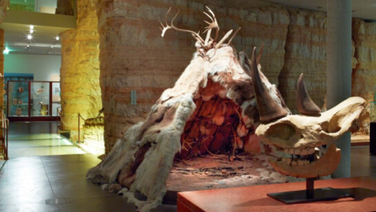 Archaeology. Courtesy of MNHA