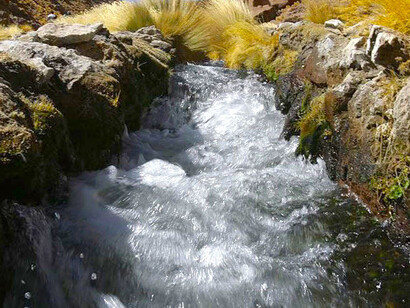 El río Silala cerca de la frontera entre Bolivia y Chile