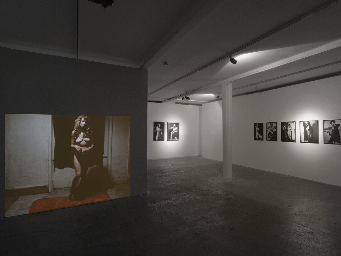 Stephen Dwoskin, 2015, Vilma Gold, London, installation view