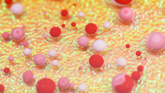 Microscopic view of a cellular structure