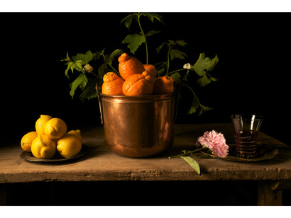 Paulette Tavormina, Lemons and Peony, After F.D.Z., 2009 © Paulette Tavormina. Courtesy Huxley-Parlour Gallery, London