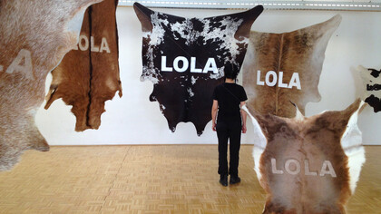 Stefano Cagol, The Cow Lola, 2010. Installazione site-specific, 6 pellami di diversi animali rasati e dipinti, dimensioni ambientali. Collezione privata Innsbruck