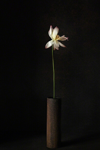 A Stage. Courtesy of Galerie marie-robin