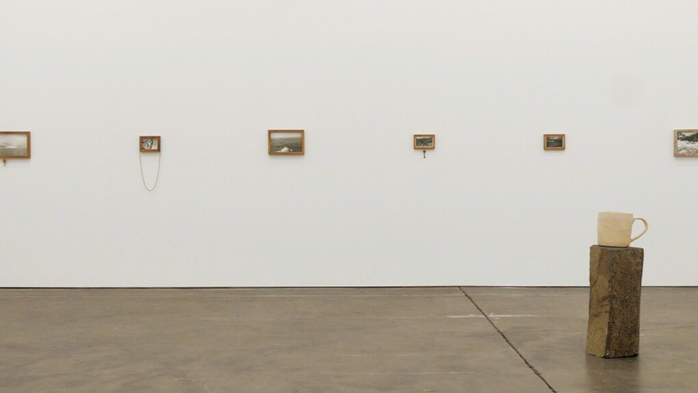 Albatross. Courtesy of Altman Siegel Gallery