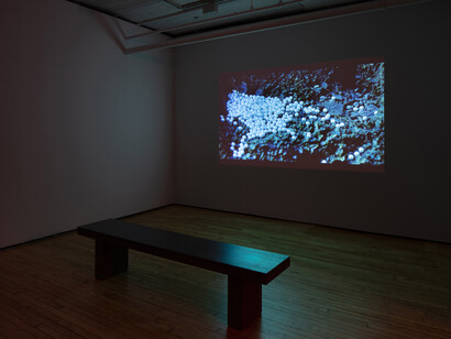 The Moon and I, 2023, installation view, photo by Lance Brewer. Courtesy of Grimm, NYC
