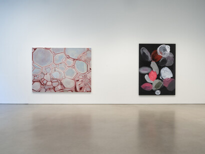 Ross Bleckner, Octopus, exhibition view. Courtesy of Petzel Gallery
