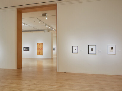 This is not a Selfie. Courtesy of San Jose Museum of Art