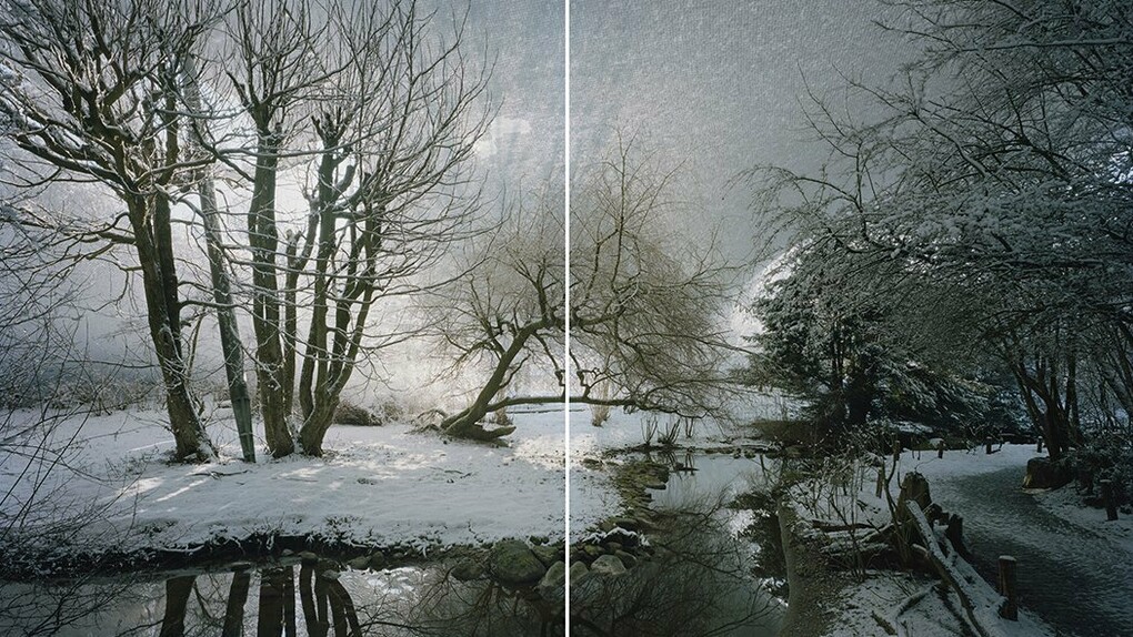 Primož Bizjak, Munich zoo n4 (detail), 2017-2020. Courtesy of Obalne Gallery