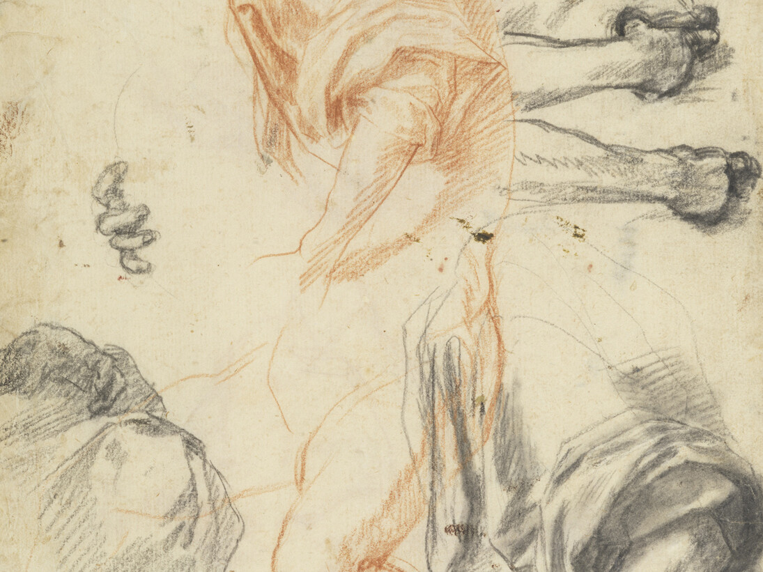 Andrea del Sarto (1486–1530) Studies of Arms, Legs, Hands, and Drapery (detail), ca. 1522 Red and black chalks 10 3/16 x 7 15/16 inches Galleria degli Uffizi, Gabinetto Disegni e Stampe, Florence, by permission of the Ministero dei beni e delle attività culturali e del turismo