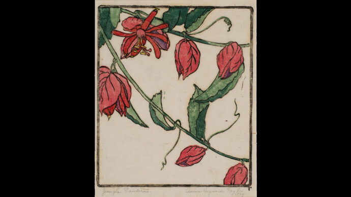 Anna Heyward Taylor. Courtesy of The Gibbes museum