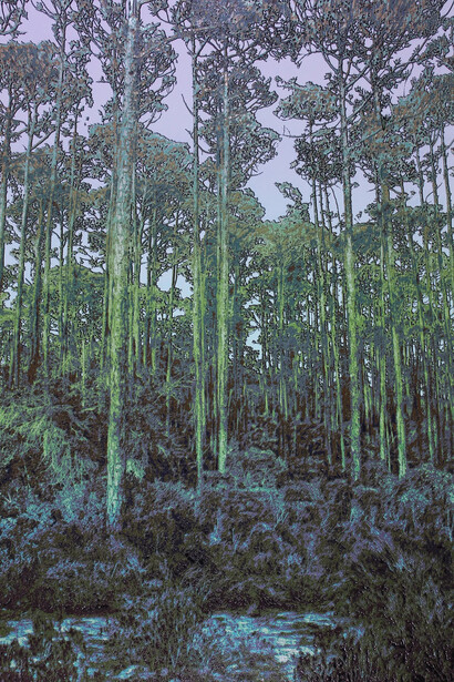 Bradlee Shanks, Tall trees forest (detail). Courtesy of Momentum Gallery