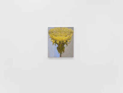 Krzysztof Grzybacz, To empty out, exhibition view. Courtesy of Mendes Wood DM