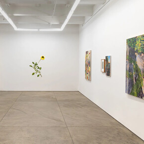 Carly Glovinski, Into the garden, exhibition view. Courtesy of Morgan Lehman Gallery