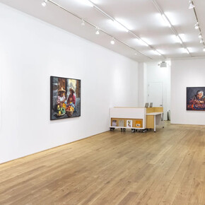 Yael Medrez Pier, Pájaro de fuego, exhibition view. Courtesy of Marc Straus Gallery. Photo by Martina Scala