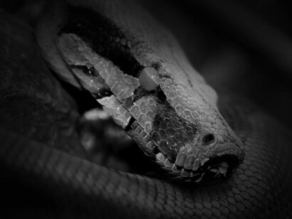 Alegóricamente, si Moshé pudo mostrarle a faraón —el círculo— que conoce el secreto de π, esto sería como someter a la más grande fuente de poder del faraón, su domino de la naturaleza y del mundo natural