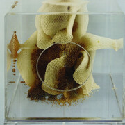 Accidents. Courtesy of Pearl Lam Galleries