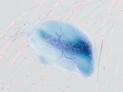 Imagem das conexões do cérebro humano