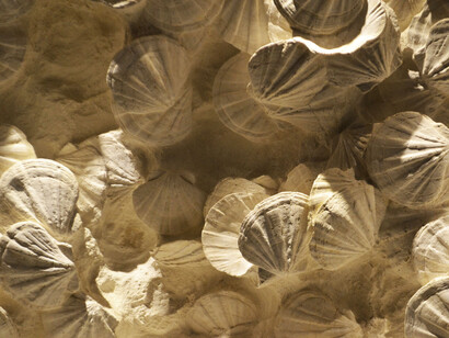 Privatizar las instituciones e internacionalizarlas seria otra alternativa