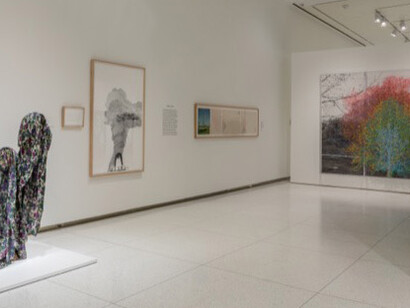 Solidary & Solitary. Courtesy of Smart Museum of Art