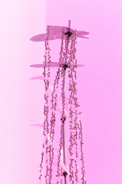 Zsuzsi Magyari, Inner stem, exhibition view. Courtesy of am projects. Photo by Mátyás Gyuricza