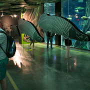Colombia, país de agua. Courtesy of Parque Explora
