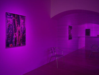 Trevor Yeung, Underwater haze, exhibition view. Courtesy of Kestner Gesellschaft