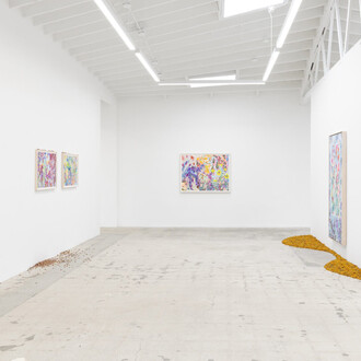 Sarah Ann Weber, I know her, exhibition view. Courtesy of Anat Ebgi